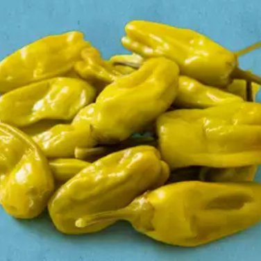 Pepperoncini Pepper 30 PCS Seeds