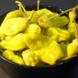 Pepperoncini Pepper 30 PCS Seeds