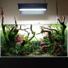 Pellia Moss Fern Aquarium Plant Java Fish Tank Aquascape 1000 PCS Seeds Pellia Moss Fern Aquarium Plant Java Fish Tank Aquascape 1000 PCS Seeds