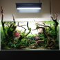 Pellia Moss Fern Aquarium Plant Java Fish Tank Aquascape 1000 PCS Seeds