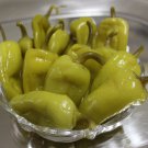 Pepperoncini Pepper (Hard to Find) 100 PCS Seeds