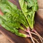 Prostrate Red Rooted Spinach 5 PCS Seeds