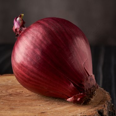 Premium Red Onion Purple Skin Variety 500 PCS Seeds