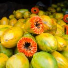 Premium Papaya Organic and Red-Fleshed 20 PCS Seeds Premium Papaya Organic and Red-Fleshed 20 PCS Seeds