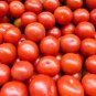 Premium 'China Veggies No.4' Tomatoes 200 PCS Seeds