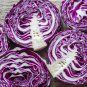 Red Napa Cabbage 10 PCS Seeds