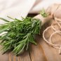 Rosemary Small Evergreen Herbal Plant Edible Bonsai with Blue 50 PCS Seeds