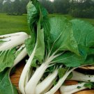 Pak Choi White Stem 2000 PCS Seeds