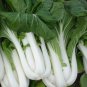 Pak Choi White Stem 2000 PCS Seeds