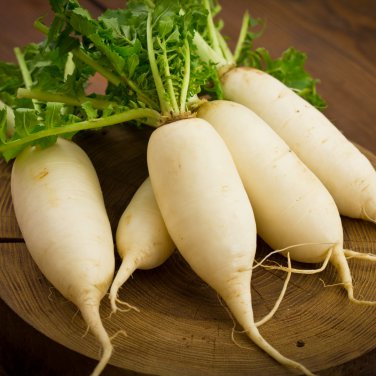 Organic green radish fruit radishes untreated garden 800 PCS Seeds