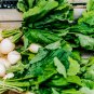 Organic green radish fruit radishes untreated garden 800 PCS Seeds
