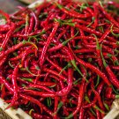 Chili Pepper Cayenne Red Hot Chili Organic Heirloom 1500 PCS Seeds Chili Pepper Cayenne Red Hot Chili Organic Heirloom 1500 PCS Seeds