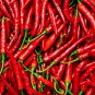 Chili Pepper Cayenne Red Hot Chili Organic Heirloom 1500 PCS Seeds