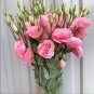 Eustoma Rose Red 200 PCS Seeds