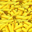 Dwarf Banana Tree Hybrid Fruits 100 PCS Seeds Dwarf Banana Tree Hybrid Fruits 100 PCS Seeds