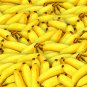Dwarf Banana Tree Hybrid Fruits 100 PCS Seeds