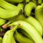 Dwarf Banana Mixed Varieties 100 PCS Seeds