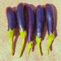 Long Purple Eggplant 700 PCS Seeds