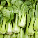 Choi Green Stem Chinese Cabbage Bok choy Four Season vegetable 2000 PCS Seeds