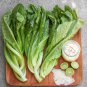 Chinese leaf lettuce Sword pointed 2500 PCS Seeds