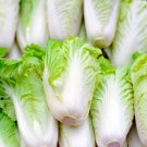 Chinese cabbage 1000 PCS Seeds