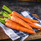 Carrot Red Giant Vegetable Planting Organic Heirloom 3200 PCS Seeds