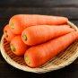 Carrot Red Giant Vegetable Planting Organic Heirloom 3200 PCS Seeds