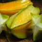Carambola 2 Types Available 50 PCS Seeds