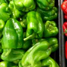 Capsicum Organic Green Bell Peppers Sweet Vegetable Planting 600 PCS Seeds Capsicum Organic Green Bell Peppers Sweet Vegetable Planting 600 PCS Seeds