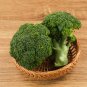 Broccoli Vitamin Cabbage Planting Sprouting Organic Heirloom 600 PCS Seeds