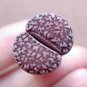 Ball Conophytum vanzylii Lithop Greyish White Succulent 100 PCS Seeds