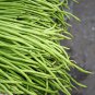 Vigna sinensis Yard Long Bean Mixed Red and Green Color 100 PCS Seeds