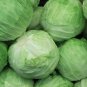 Cabbage Cabbage Wraps 400 PCS Seeds