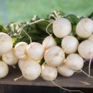 small fruit Radish 800 PCS Seeds small fruit Radish 800 PCS Seeds