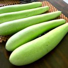 Gourd petha 100 PCS Seeds