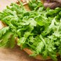 Tong Ho edible Chrysanthemum coronarium Asia Veg 2000 Seeds
