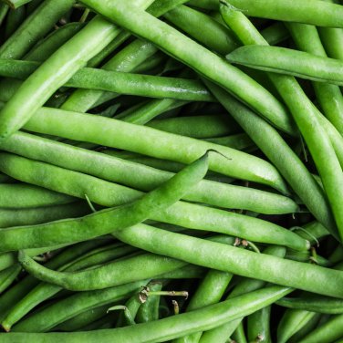 Top Crop Green Bean 30 PCS Seeds
