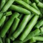 Top Crop Green Bean 30 PCS Seeds
