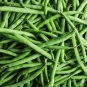 Top Crop Green Bean 30 PCS Seeds