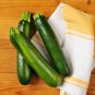 Summer Zucchini Squash 25 PCS Seeds