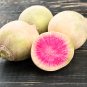 Watermelon Radish 400 PCS Seeds