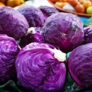 The more purple cabbage 250 PCS Seeds