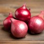 Onion Red Baron Giant Round Vegetable Planting Organic Heirloom 220 PCS Seeds