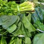Green Amaranth Chinese Spinach Green Edible Vegetable 2000 PCS Seeds