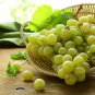 Golden Green Sweet Grape Organic 100 PCS Seeds
