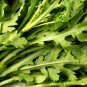 Garland Chrysanthemum 2000 PCS Seeds