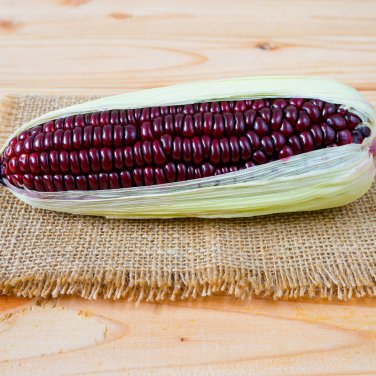 Red Glutinous Maize Heirloom NON gmo Tasty Corn 100 PCS Seeds