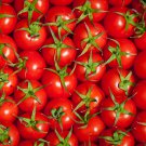 'Red Flat Peach' Indeterminate Tomato Organic 300 PCS Seeds
