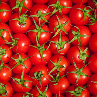'Red Flat Peach' Indeterminate Tomato Organic 300 PCS Seeds