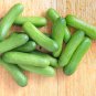 Compact and Tasty No-Stake Mini Cucumber Varieties 60 PCS Seeds